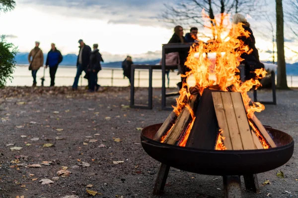 AdobeStock_305039413-scaled